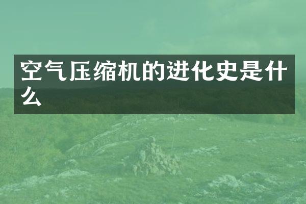 空氣壓縮機(jī)的進(jìn)化史是什么