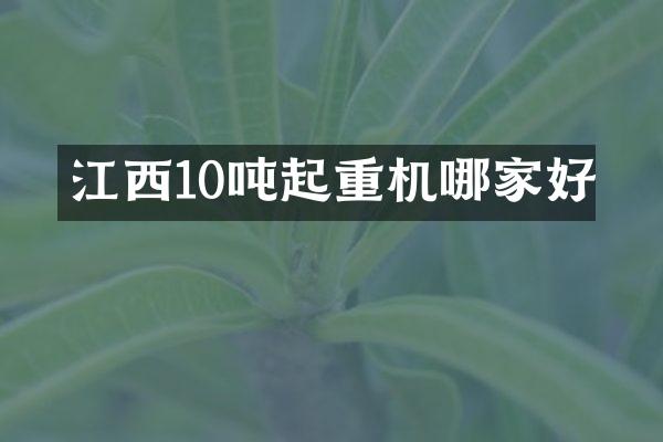 江西10噸起重機哪家好