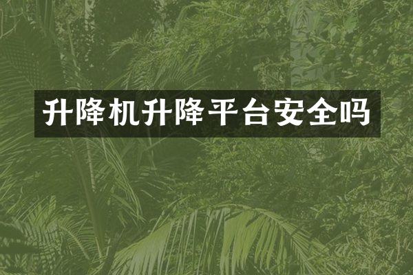 升降機(jī)升降平臺(tái)安全嗎