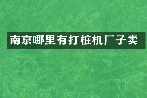 南京哪里有打樁機廠子賣