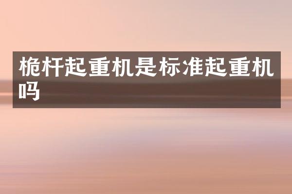 桅桿起重機(jī)是標(biāo)準(zhǔn)起重機(jī)嗎