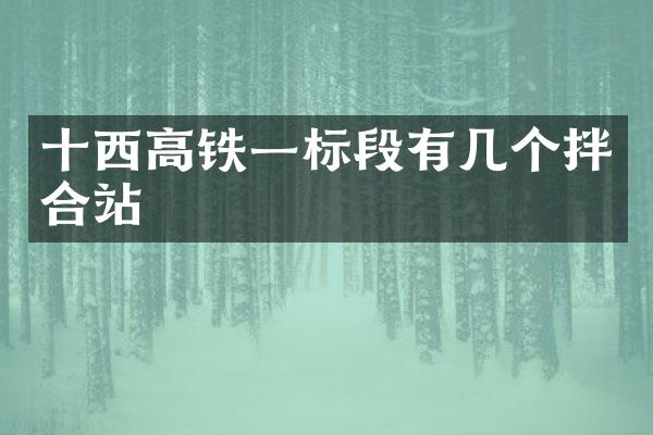 十西高鐵一標(biāo)段有幾個(gè)拌合站