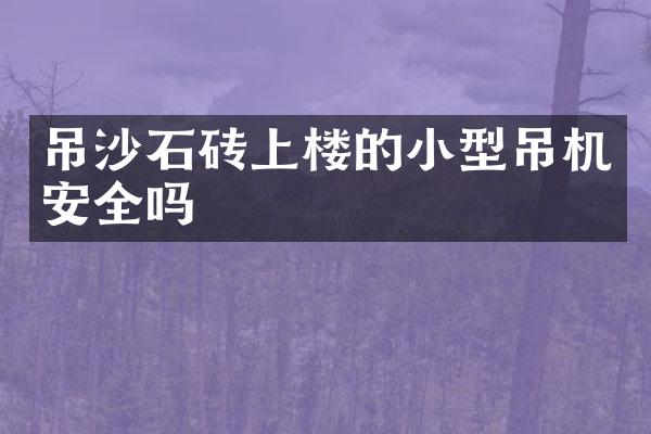 吊沙石磚上樓的小型吊機安全嗎