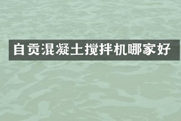 自貢混凝土攪拌機哪家好