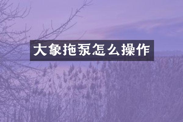 大象拖泵怎么操作