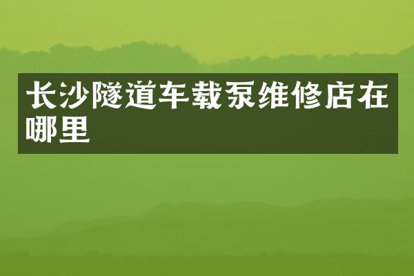 長沙隧道車載泵維修店在哪里