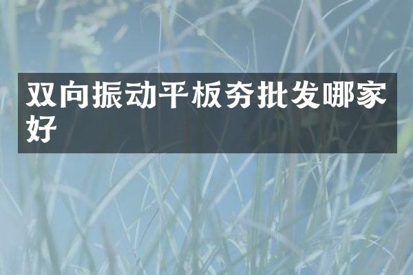 雙向振動平板夯批發(fā)哪家好