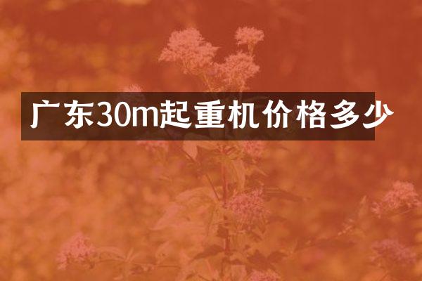 廣東30m起重機(jī)價(jià)格多少