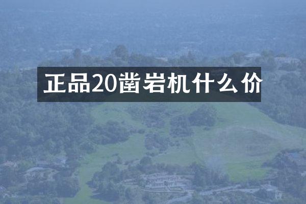 正品20鑿巖機什么價