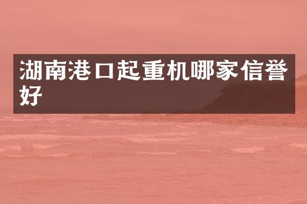 湖南港口起重機(jī)哪家信譽(yù)好