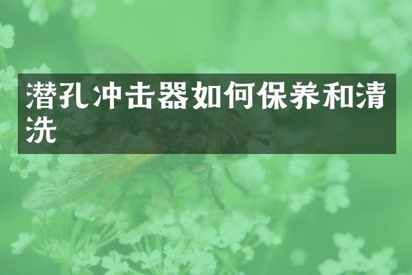 潛孔沖擊器如何保養(yǎng)和清洗