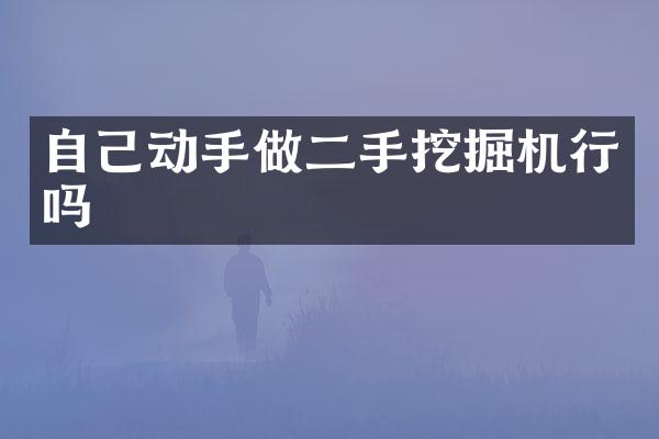 自己動手做二手挖掘機行嗎