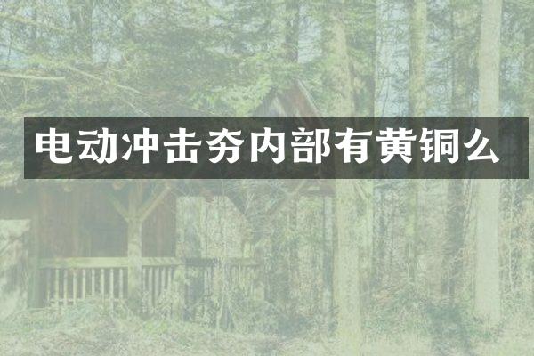 電動沖擊夯內(nèi)部有黃銅么