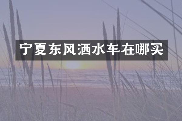 寧夏東風(fēng)灑水車在哪買