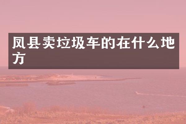 鳳縣賣垃圾車的在什么地方