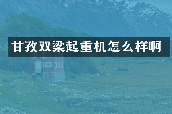 甘孜雙梁起重機怎么樣啊