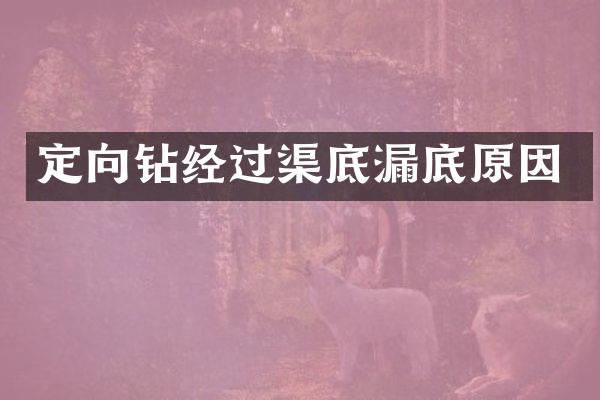 定向鉆經(jīng)過渠底漏底原因