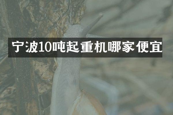 寧波10噸起重機(jī)哪家便宜