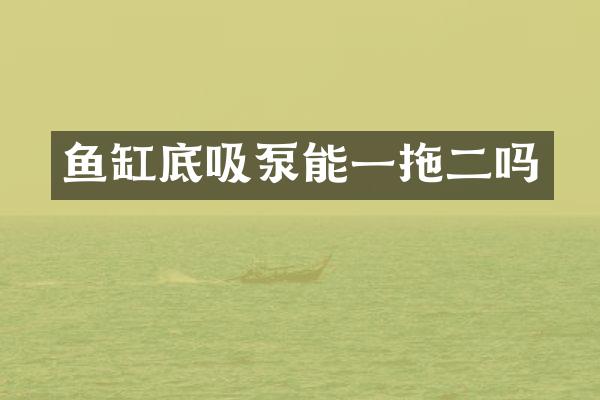 魚缸底吸泵能一拖二嗎