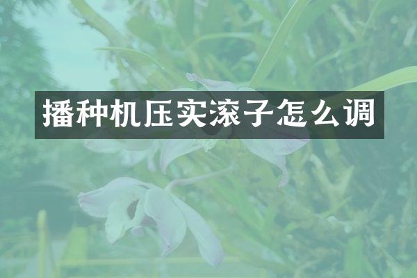 播種機壓實滾子怎么調(diào)