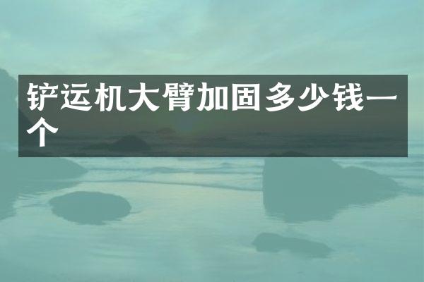 鏟運(yùn)機(jī)大臂加固多少錢一個(gè)