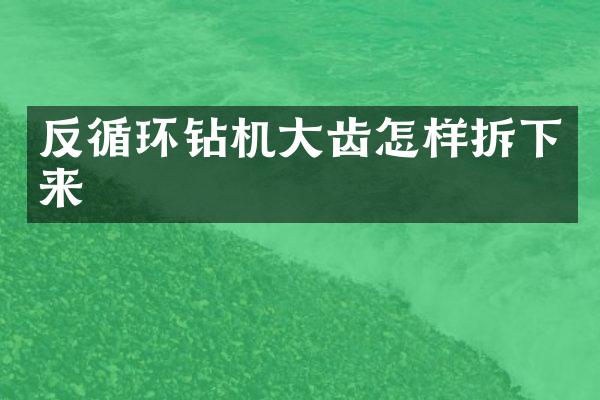 反循環(huán)鉆機大齒怎樣拆下來