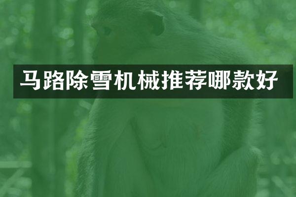 馬路除雪機械推薦哪款好