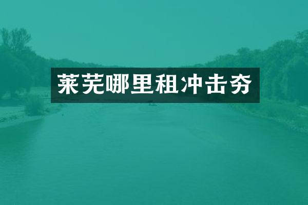 萊蕪哪里租沖擊夯