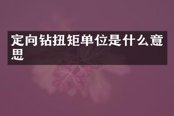 定向鉆扭矩單位是什么意思