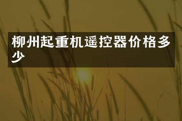 柳州起重機遙控器價格多少