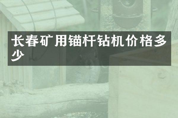 長春礦用錨桿鉆機價格多少