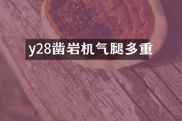 y28鑿巖機氣腿多重