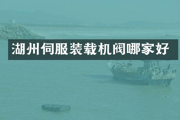 湖州伺服裝載機閥哪家好