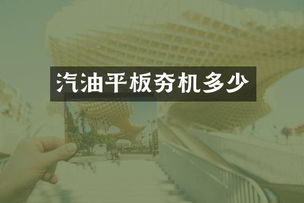 汽油平板夯機多少