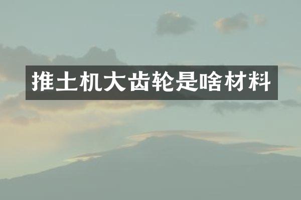 推土機(jī)大齒輪是啥材料