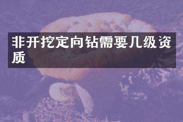 非開挖定向鉆需要幾級(jí)資質(zhì)