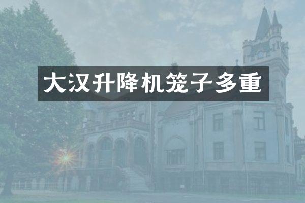 大漢升降機籠子多重