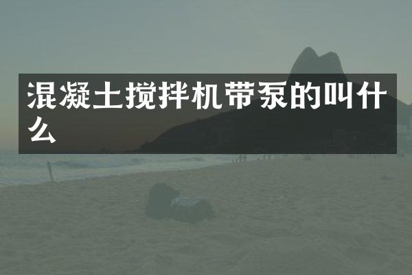 混凝土攪拌機(jī)帶泵的叫什么