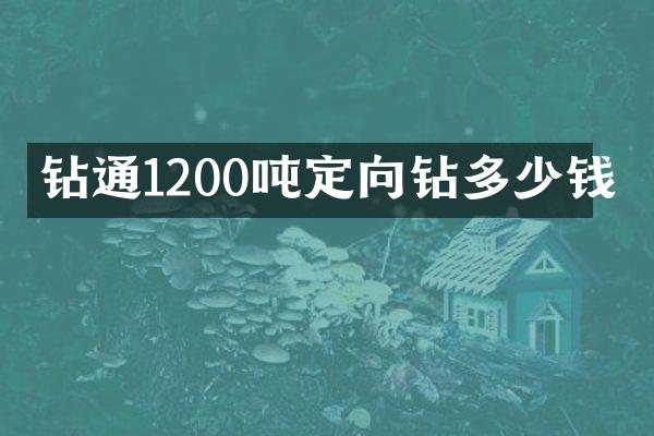 鉆通1200噸定向鉆多少錢