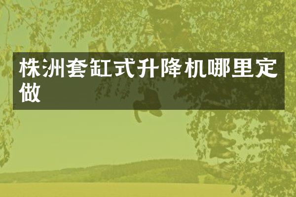 株洲套缸式升降機哪里定做