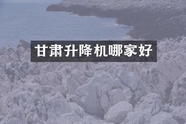 甘肅升降機(jī)哪家好