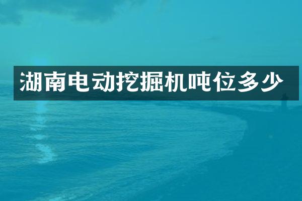 湖南電動挖掘機噸位多少