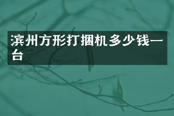 濱州方形打捆機(jī)多少錢一臺