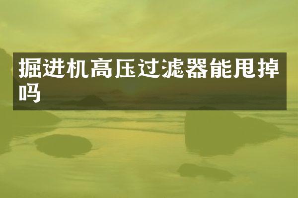 掘進(jìn)機(jī)高壓過(guò)濾器能甩掉嗎