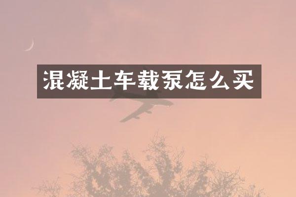 混凝土車載泵怎么買