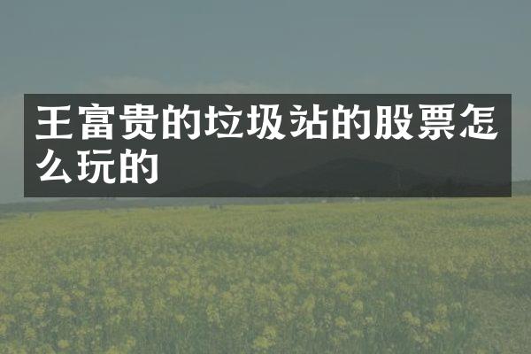 王富貴的垃圾站的股票怎么玩的