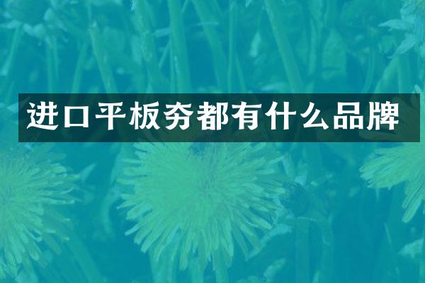 進(jìn)口平板夯都有什么品牌