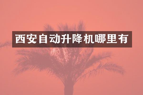 西安自動升降機哪里有