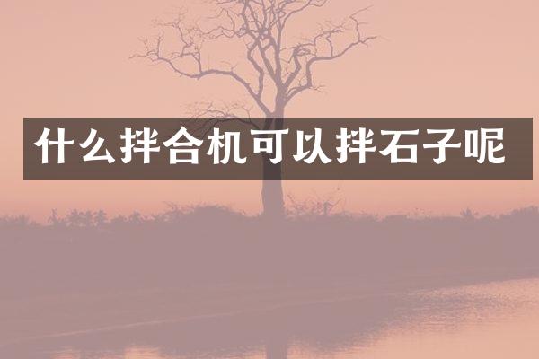 什么拌合機(jī)可以拌石子呢