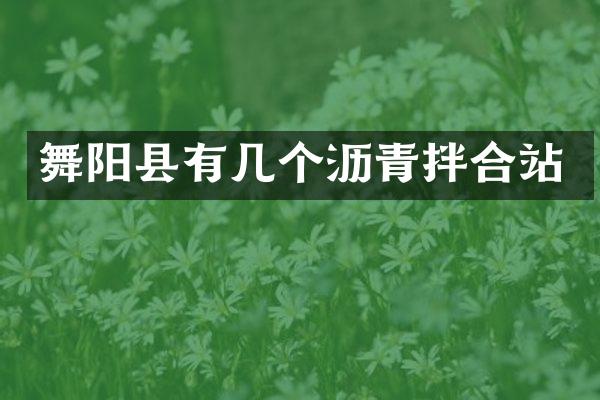 舞陽(yáng)縣有幾個(gè)瀝青拌合站